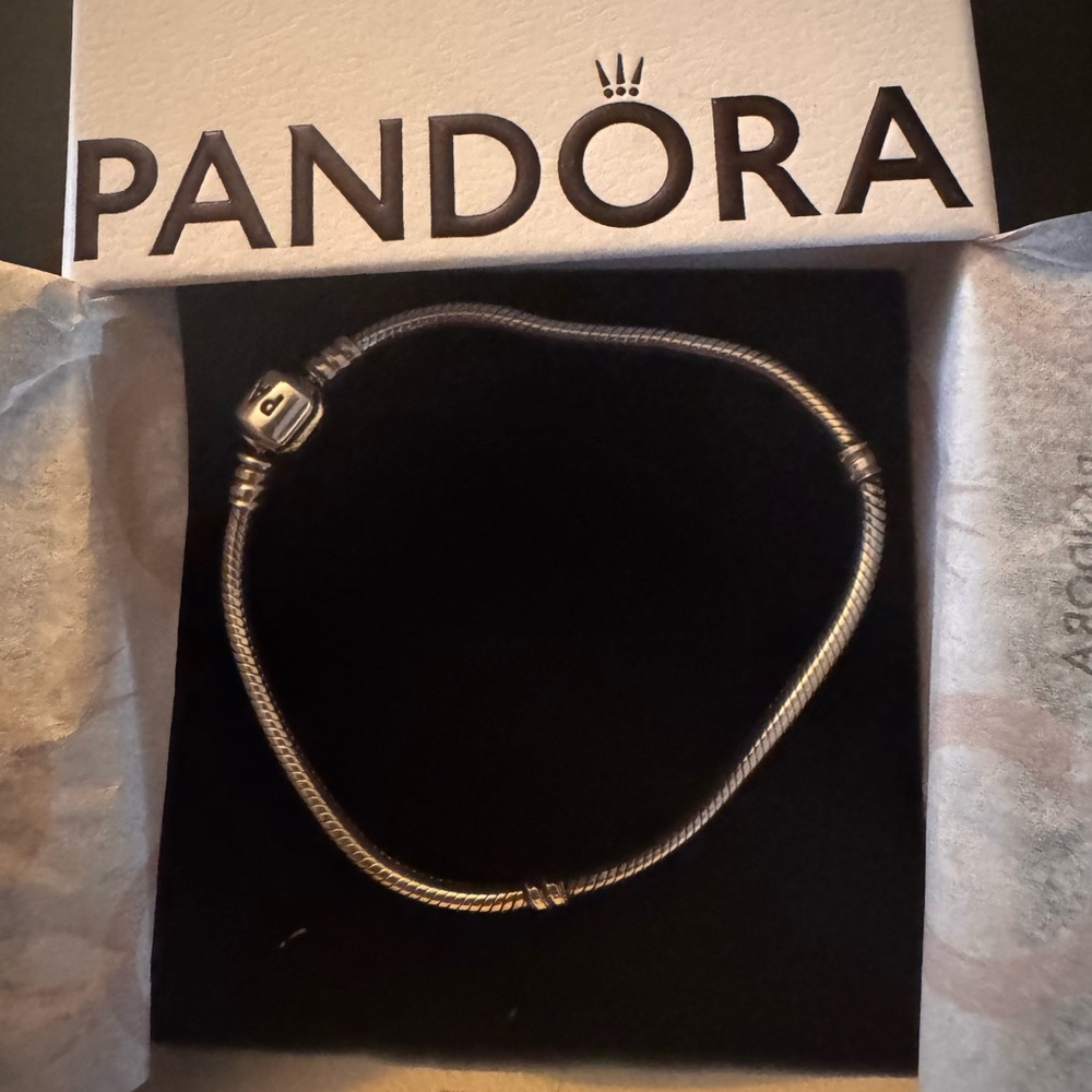 Pandora Moments Silver Snake Chain Bracelet - Barrel Clasp